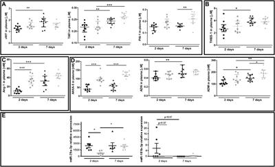 Endothelial-mesenchymal transition induced by metastatic 4T1 breast cancer cells in pulmonary endothelium in aged mice